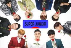 にほんブログ村 芸能ブログ SUPER JUNIORへ