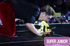 にほんブログ村 芸能ブログ SUPER JUNIORへ