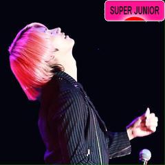 にほんブログ村 芸能ブログ SUPER JUNIORへ