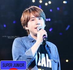 にほんブログ村 芸能ブログ SUPER JUNIORへ