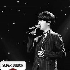 にほんブログ村 芸能ブログ SUPER JUNIORへ