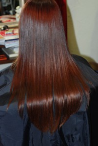 ドーリィカラー