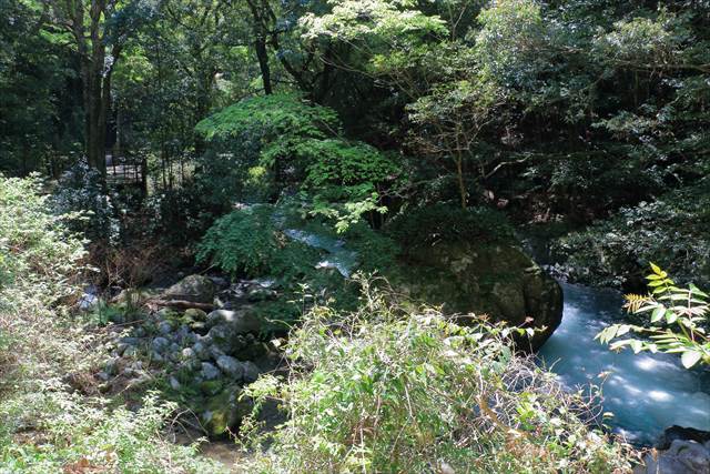 河津七滝の猿田淵