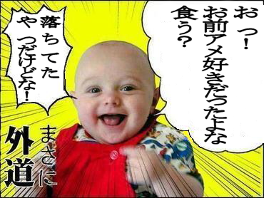 クリックすると新しいウィンドウで開きます