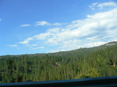 f:id:barbie-sf:20080929063843j:image