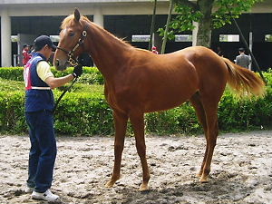 f:id:c-heater:20070514102045j:image f:id:c-heater:20070514102045j:image