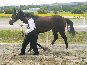 f:id:c-heater:20070514103654j:image f:id:c-heater:20070514103654j:image