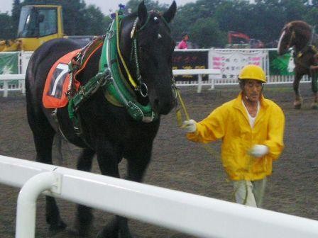 f:id:c-heater:20080704185215j:image