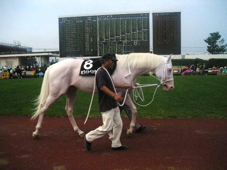 f:id:c-heater:20080706152619j:image