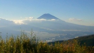 f:id:floweravail:20101104153400j:image