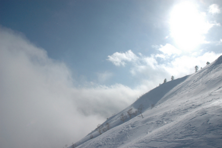 f:id:hugest:20100205134621j:image f:id:hugest:20100205134621j:image