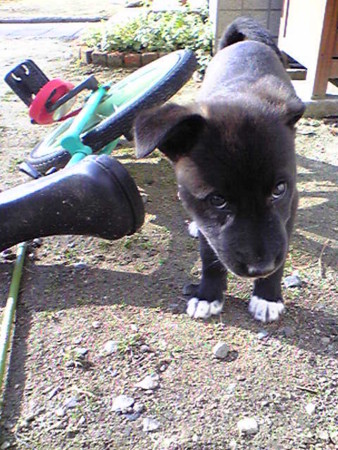 f:id:kt44:20080109131800j:image