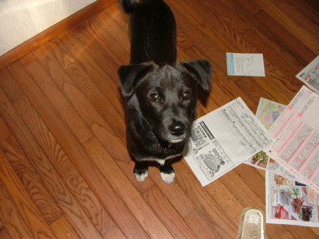 f:id:kt44:20080226155321j:image