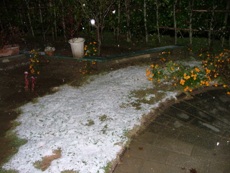 f:id:kt44:20091102205251j:image