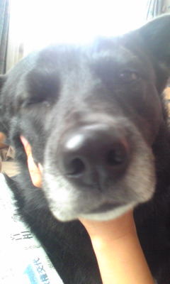 f:id:kt44:20091111110134j:image