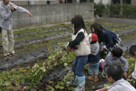 f:id:kt44:20101024114054j:image