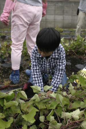 f:id:kt44:20101024114129j:image