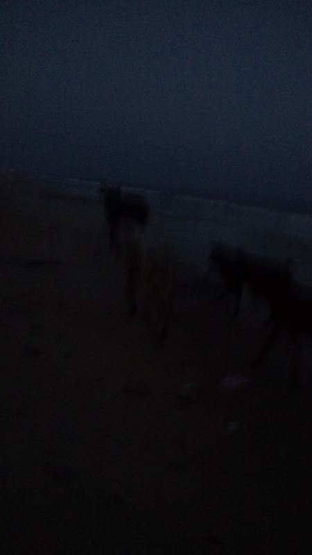 f:id:ozrokun:20100630033800j:image f:id:ozrokun:20100630033800j:image