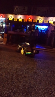 f:id:ozrokun:20100710090409j:image f:id:ozrokun:20100710090409j:image