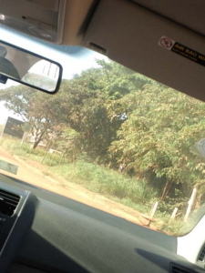 f:id:ozrokun:20100719011135j:image