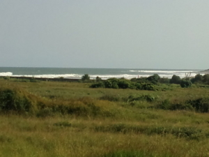 f:id:ozrokun:20100719011444j:image