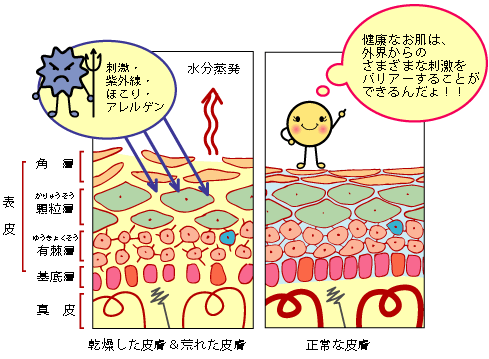 お肌のお悩み カサカサ かゆみケア ４連載 Vol2 パンダのゆかいな店長日記