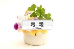 にほんブログ村 家族ブログ 毒親へ