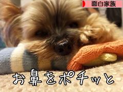 にほんブログ村 家族ブログ 面白家族へ