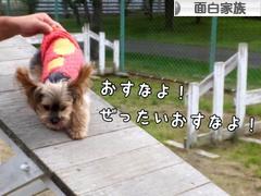 にほんブログ村 家族ブログ 面白家族へ