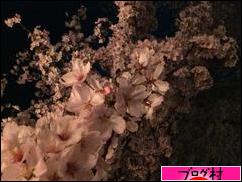 にほんブログ村 家族ブログへ