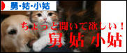 にほんブログ村 家族ブログ 舅・姑・小姑へ