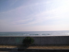 R0012559