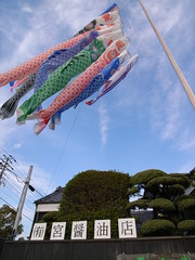 富津　タマサ醤油