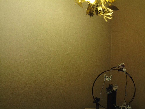 flower/flower(metal&paper)