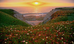 Earth Day Embrace