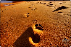 Barefoot