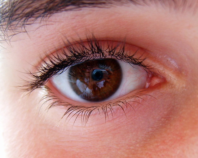 Bright Eyes (band) - Wikipedia, the free.