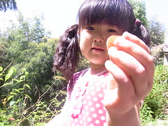 RIMG0028