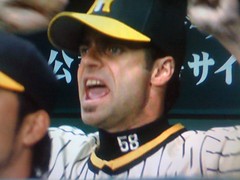 ふぉっさーーーーーむ!