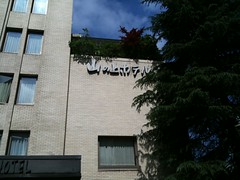 IMG_0939.JPG