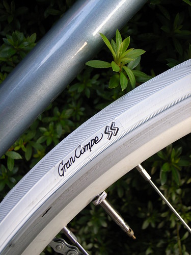 Gran Compe SS  ホワイト