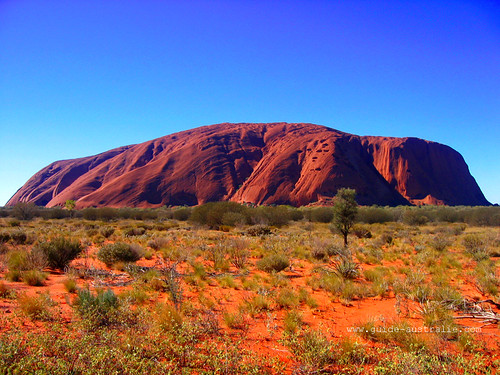 クリックすると新しいウィンドウで開きます