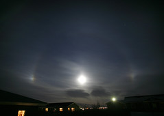 Moon Halo and Parhelia