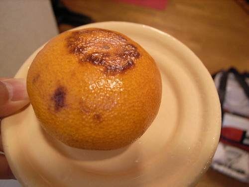 焼きみかん専用器