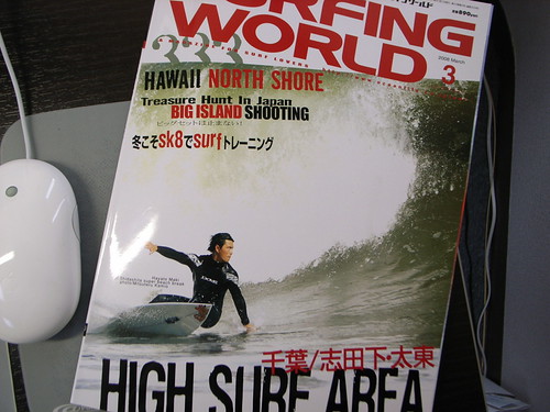 SURFING WORLD