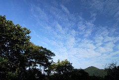 龍脊