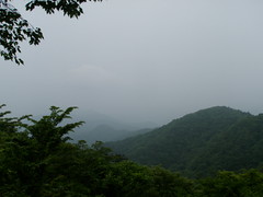 P6050105