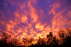 Fire in the Sky 