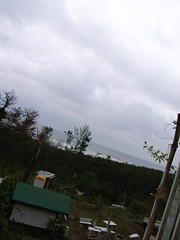 サーファーズパラダイス(God mama宅)