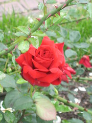 099